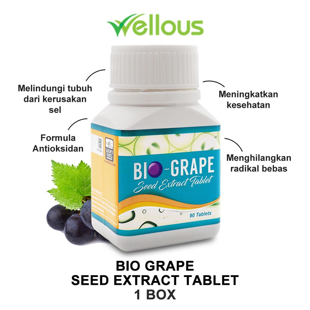 2 box biji anggur
