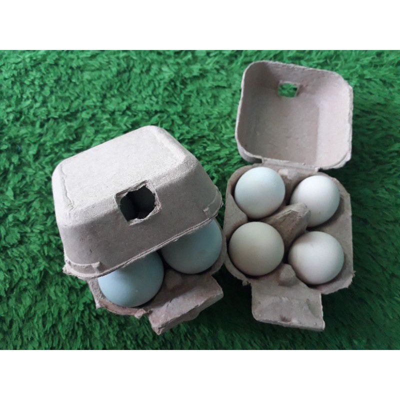 Paper Egg isi 4