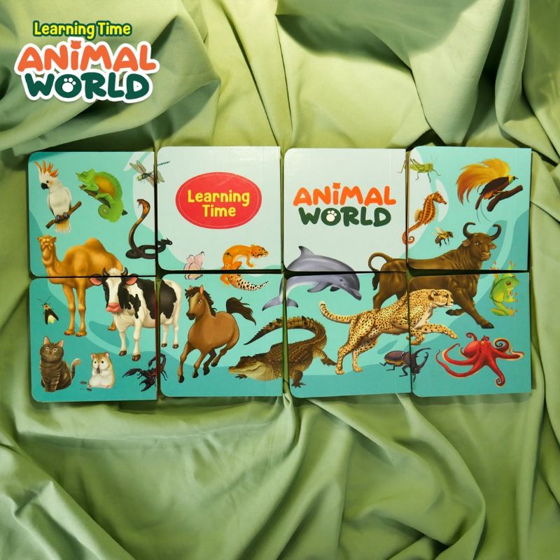 Learning Time Animal World