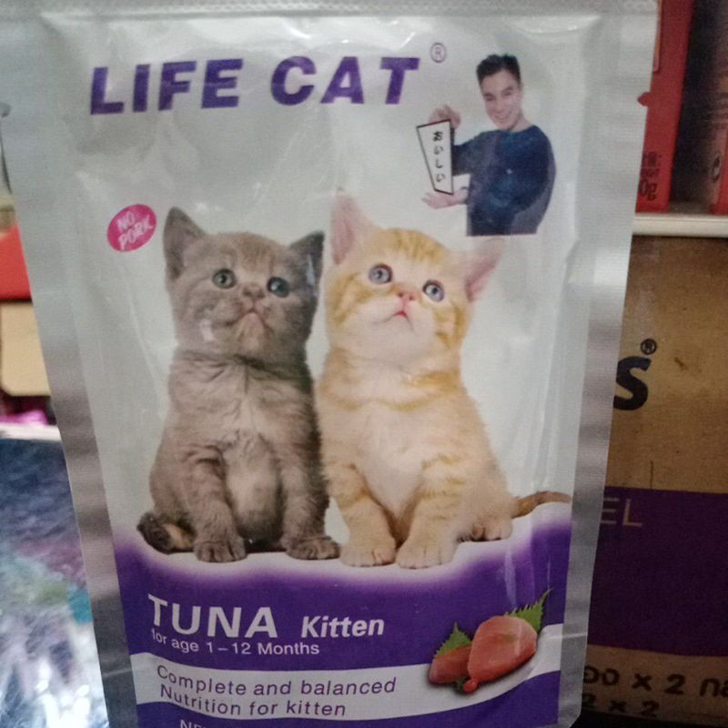 Life cat