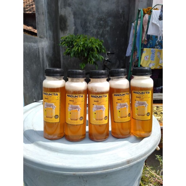 madu murni 320gr