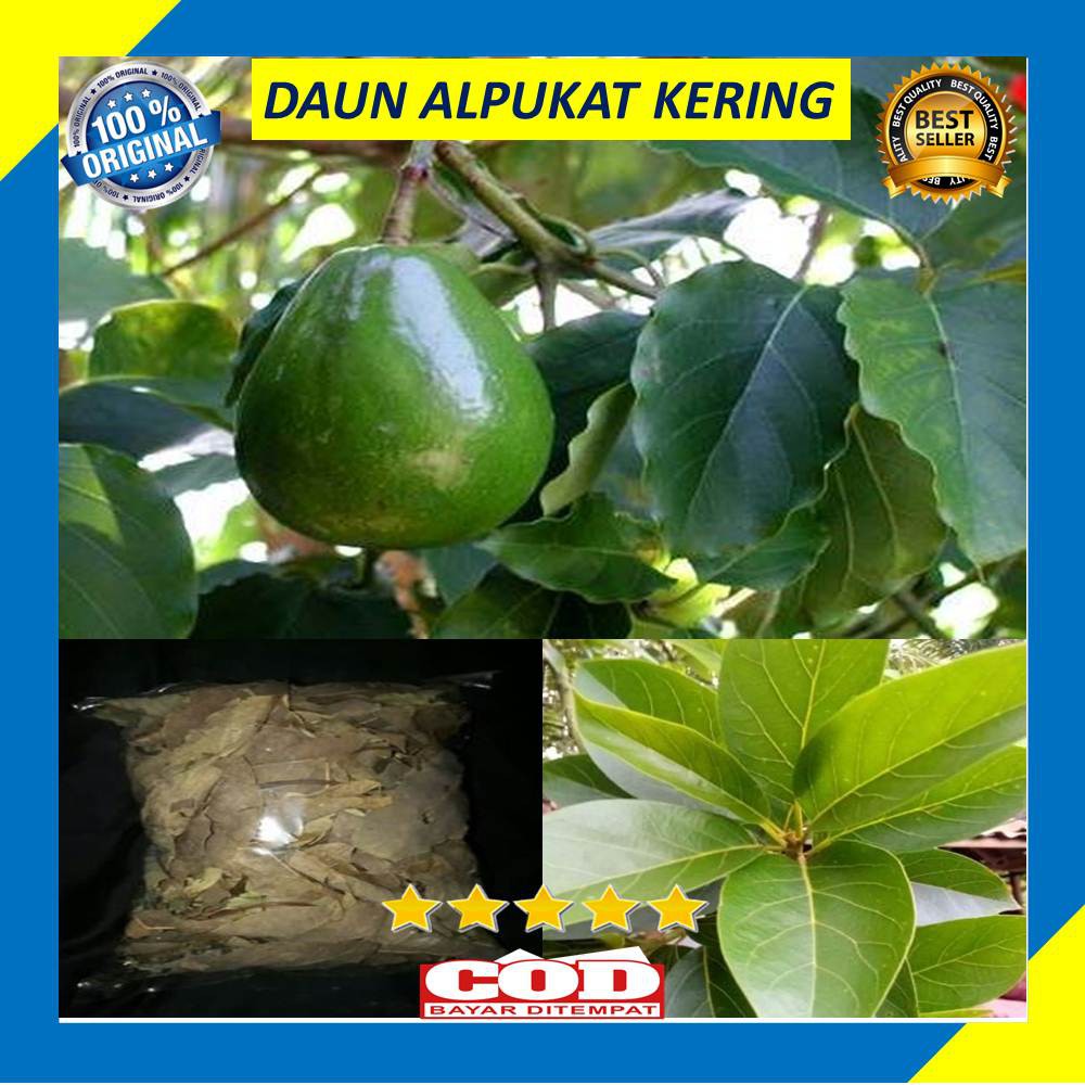 Daun Alpukat Kering 200 Gram