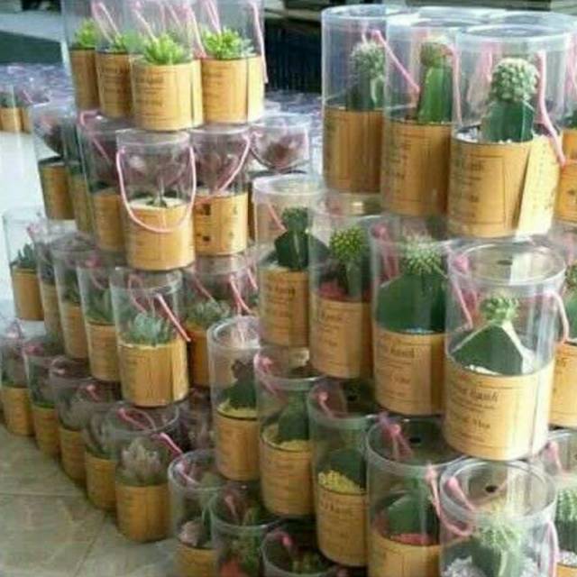 Green souvenir
