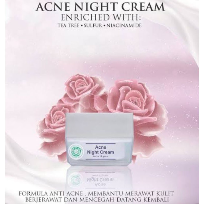 Acne Night Cream