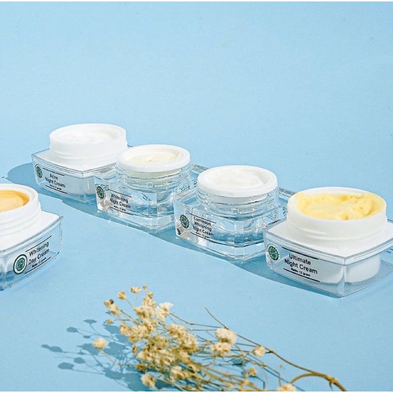 Night cream msglow