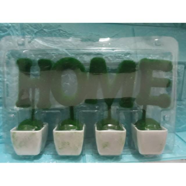 Minigras pajangan home
