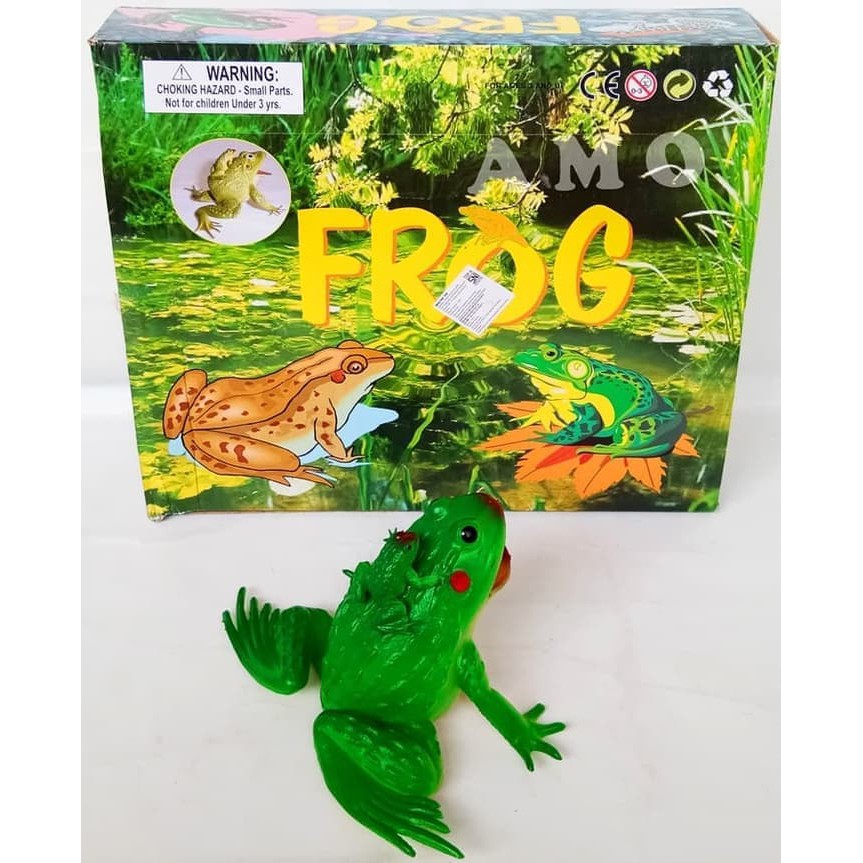 AM -  MAINAN FROG KATAK BUNYI