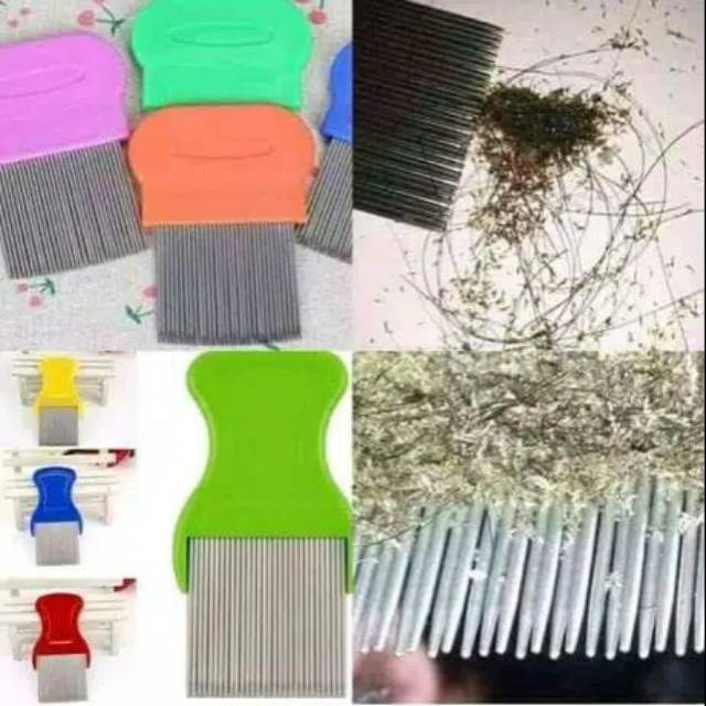 Sisir kutu
