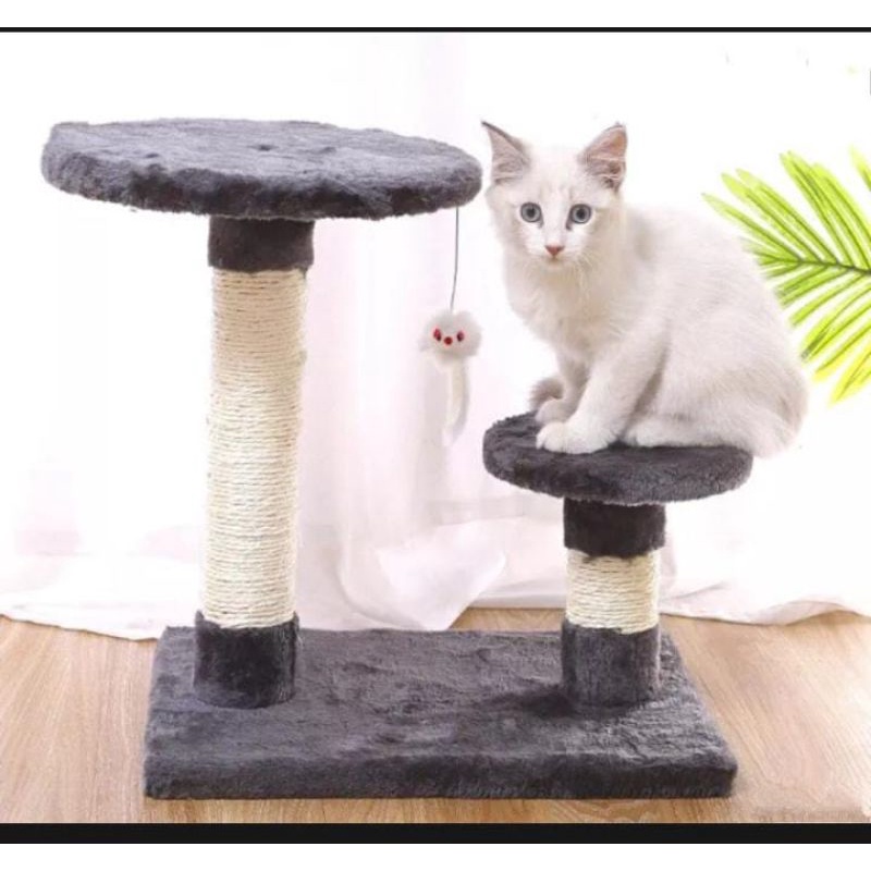 MAINAN KUCING GARUKAN CENDO