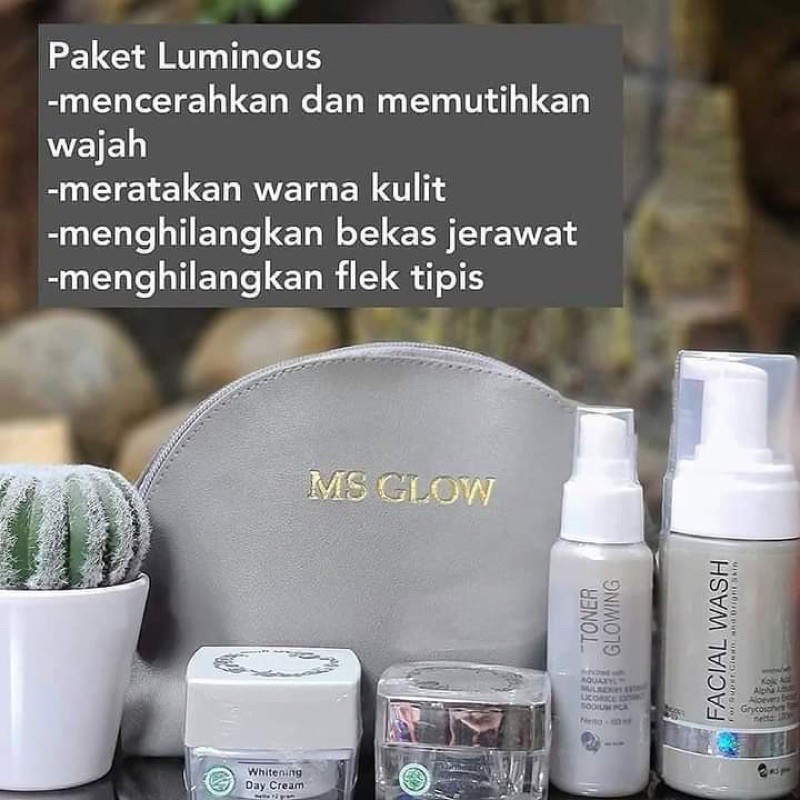 toner ms glow original