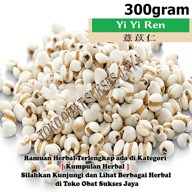 [ 300gram ] Yi Yi Ren