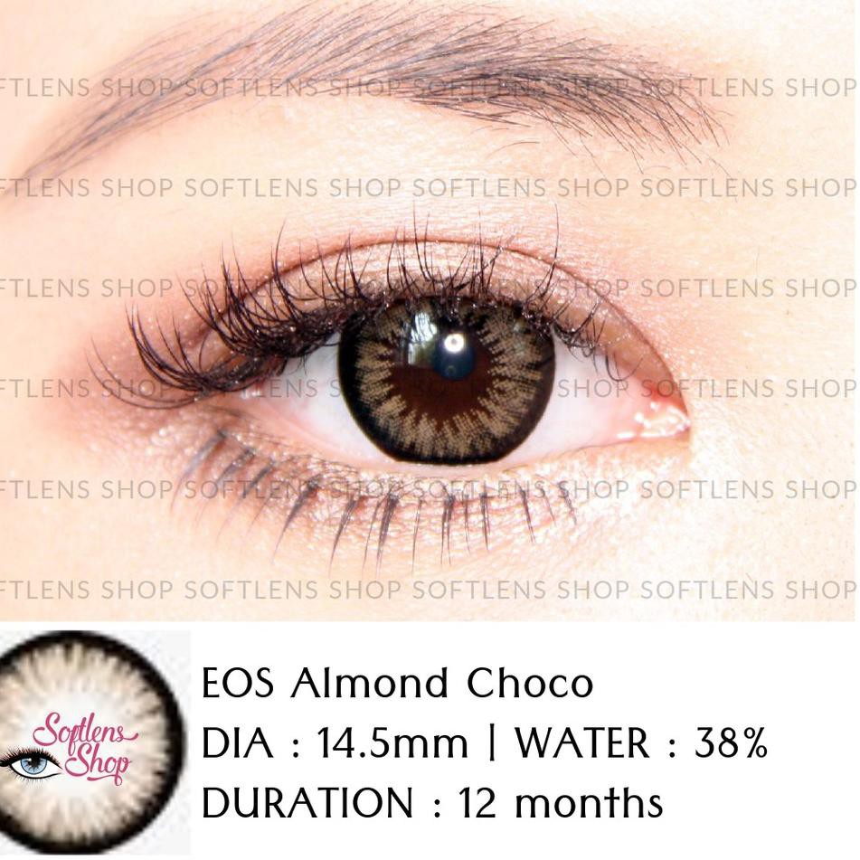 Ready Stock! SOFTLENS EOS ALMOND CHOCO HKR