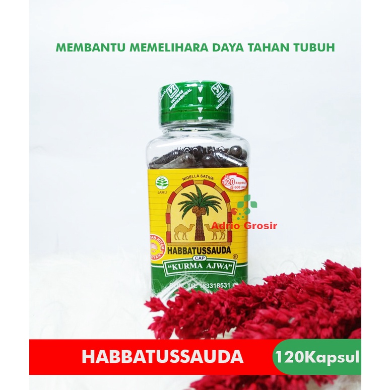 HABBATUSAUDA 120 KAPSUL