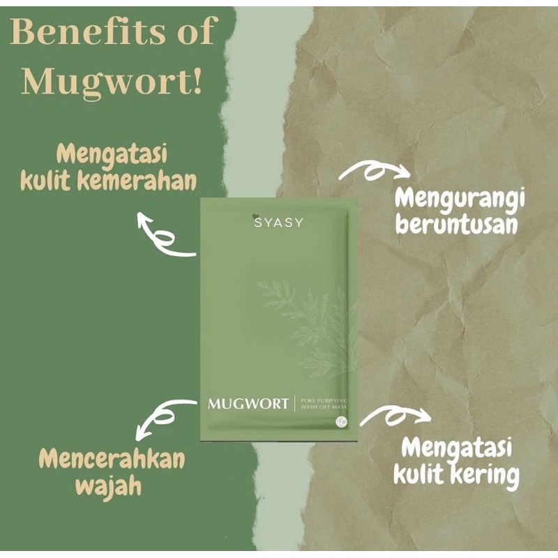 Syasy Mugwort