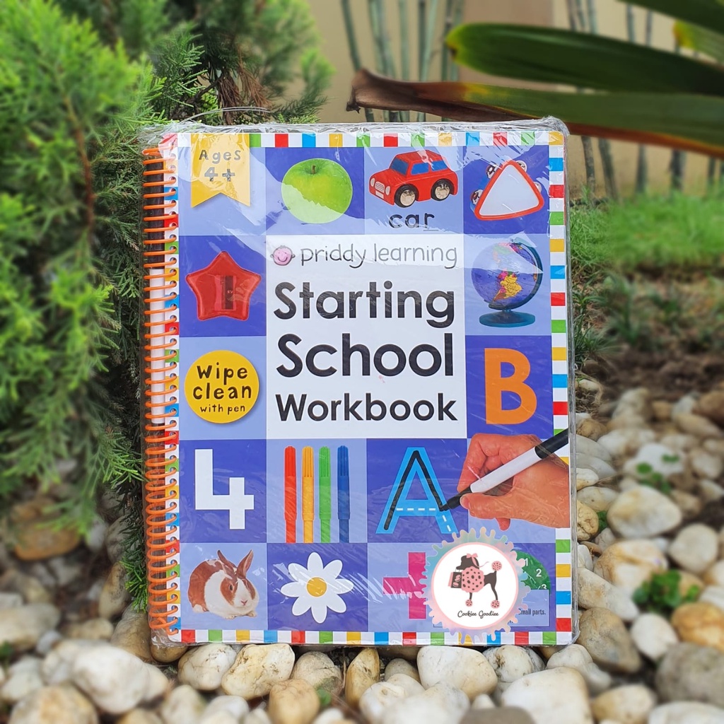 Starting School Workbook Wipe Clean with Pen