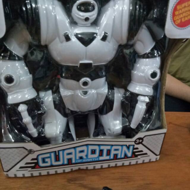 Robot guardian