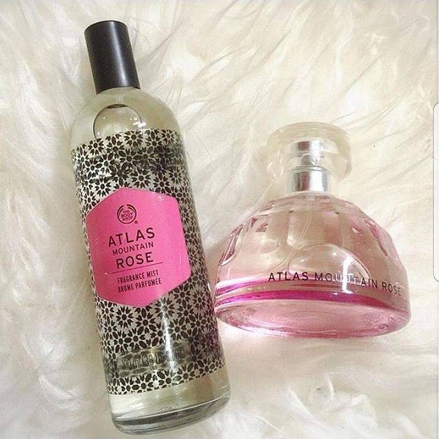 SET ATLAS MOUNTAIN ROSE