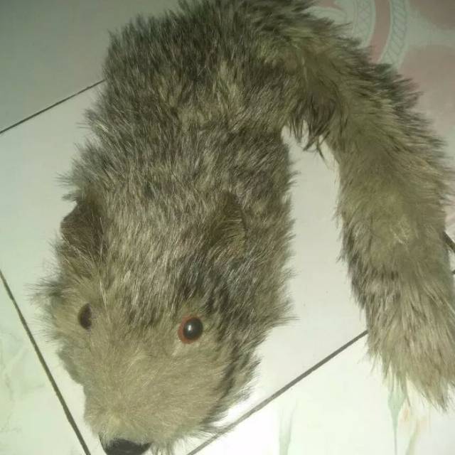 Alat sulap boneka racoon