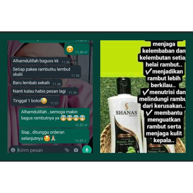 SHAMPO SHANAS ANTI KUTU