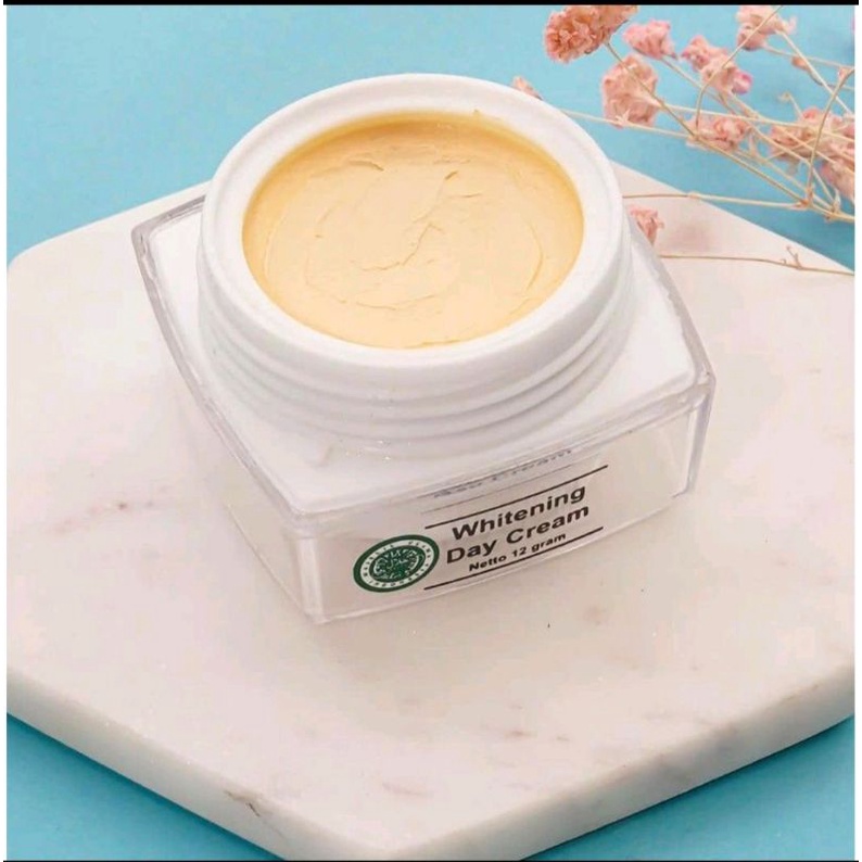 Day Cream Msglow 100% Original
