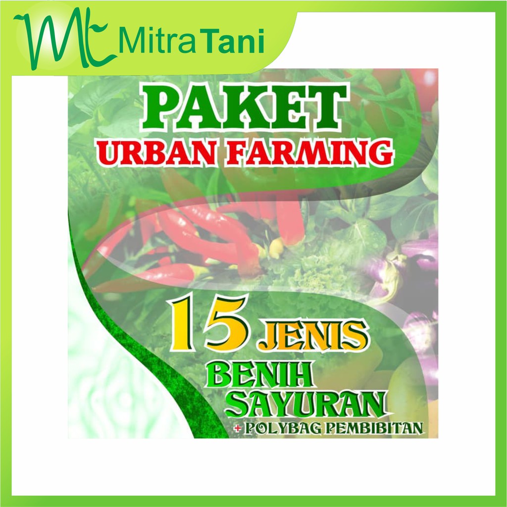 Paket Benih 15 jenis