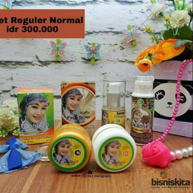 Paket reguler normal
