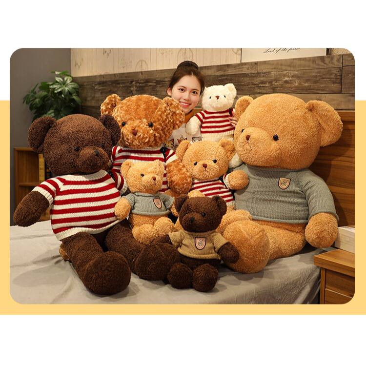 BONEKA TEDDY BEAR BERUANG TED