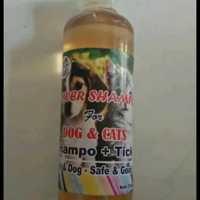 Shampo power Kutu 250ML