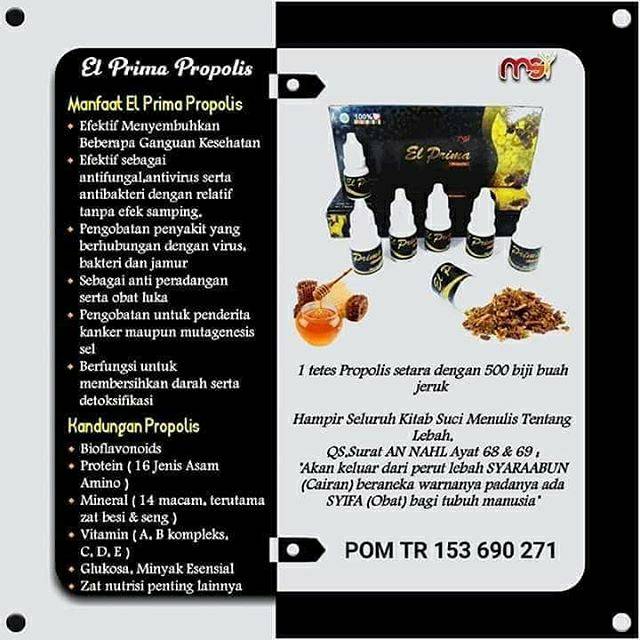 MSI EL PRIMA PROPOLIS | OBAT HERBAL MSI