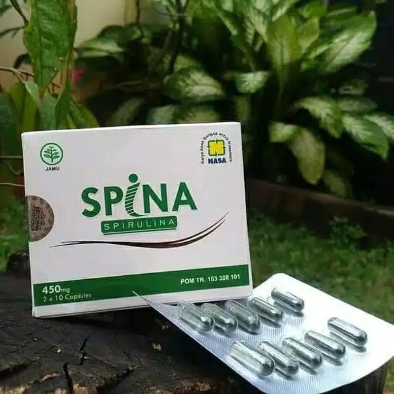 masker spina nasa