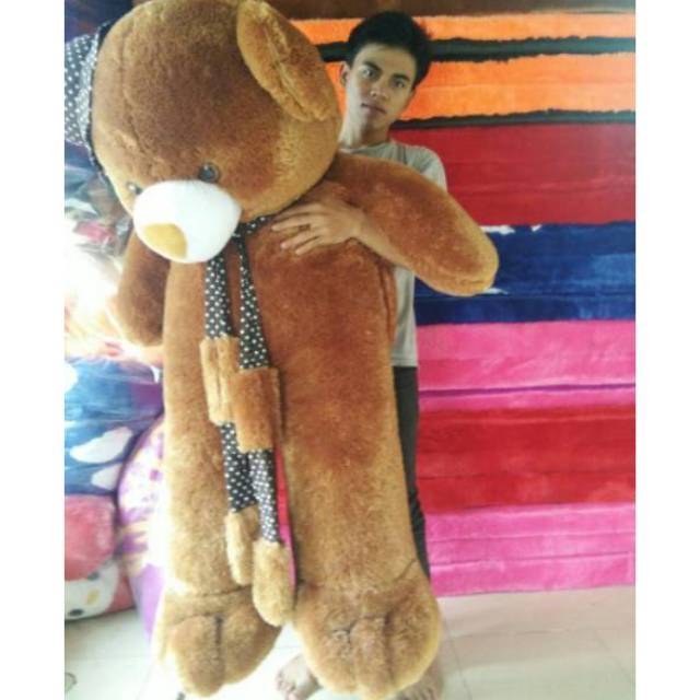 Boneka tedybear super jumbo