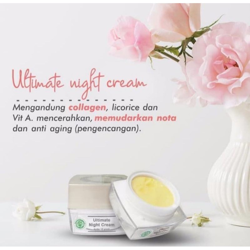 ultimate nightcream by msglow