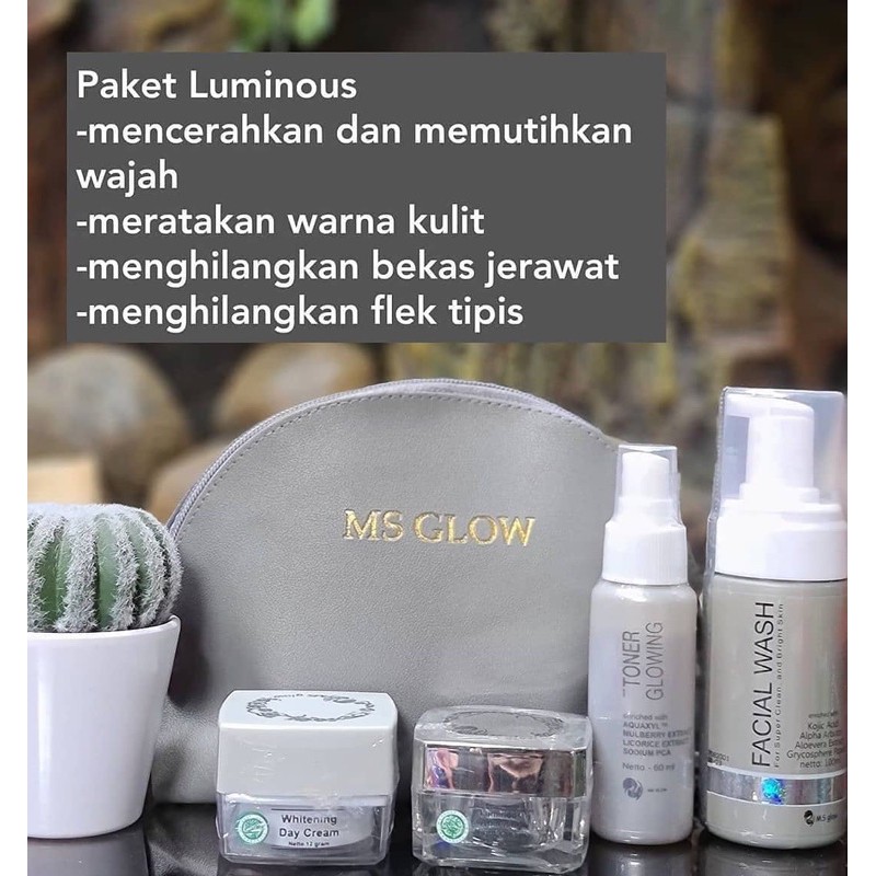 MS GLOW LUMINOUS SERIES
