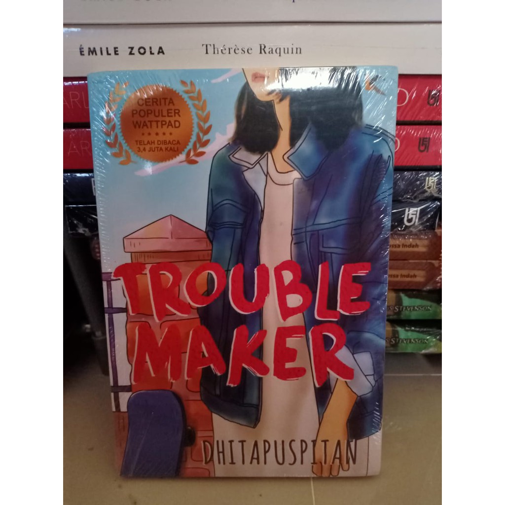 Troublemaker