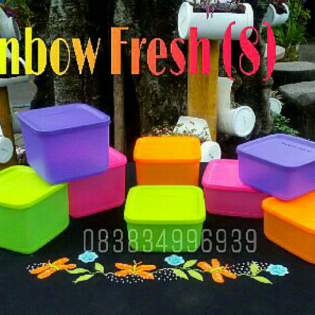 Rainbow fresh (8)