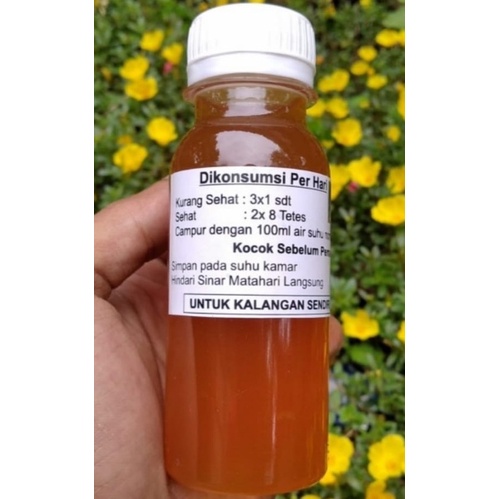 herbal imunitas dr suradi 100ml