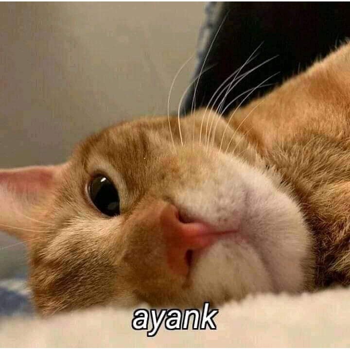 testtesttesttest