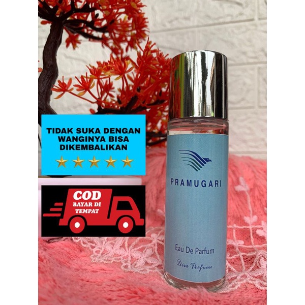 PARFUM PRAMUGARI - inspired parfum