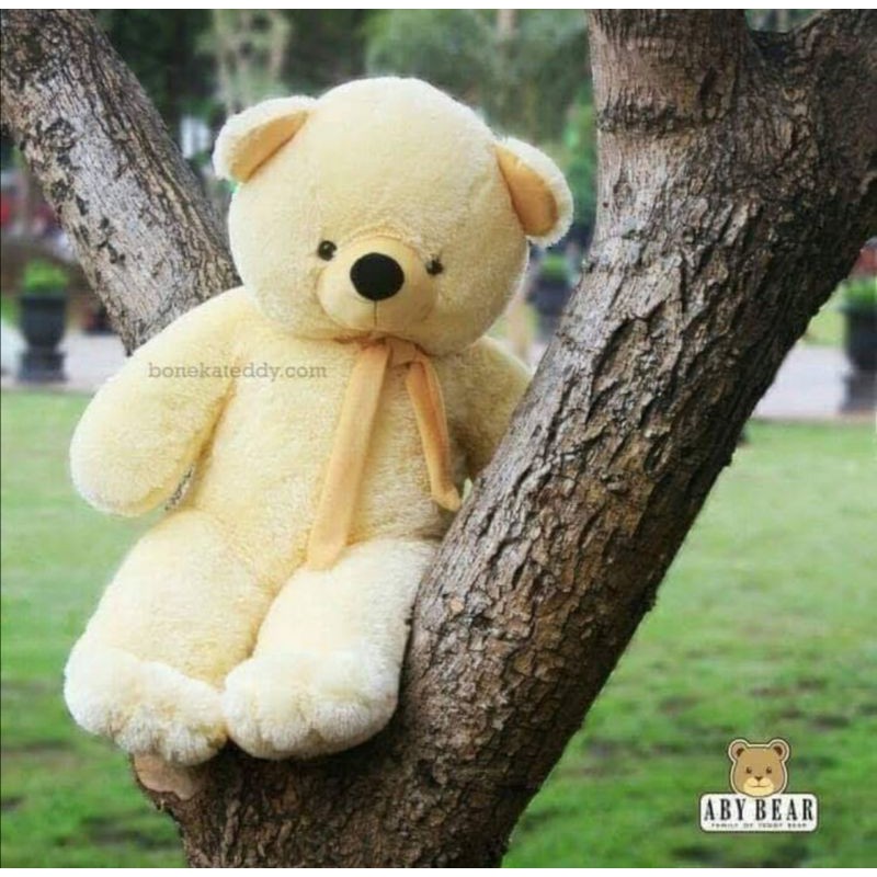 Boneka Bear Krem Jumbo