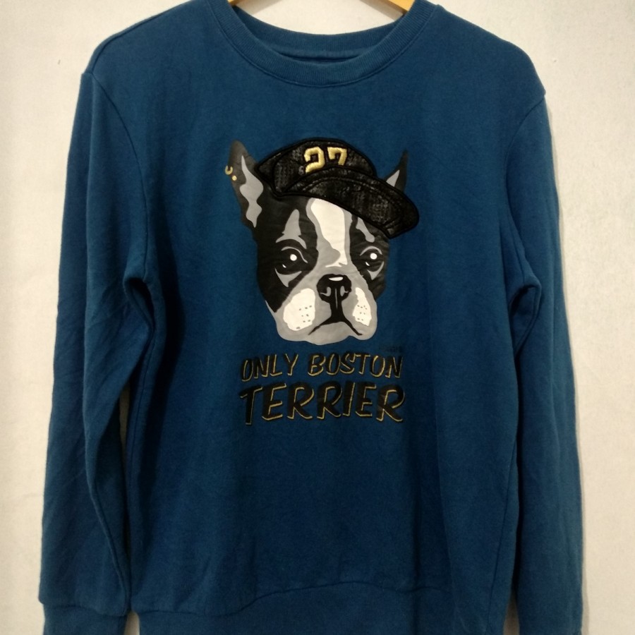 Sweater crewneck terrier