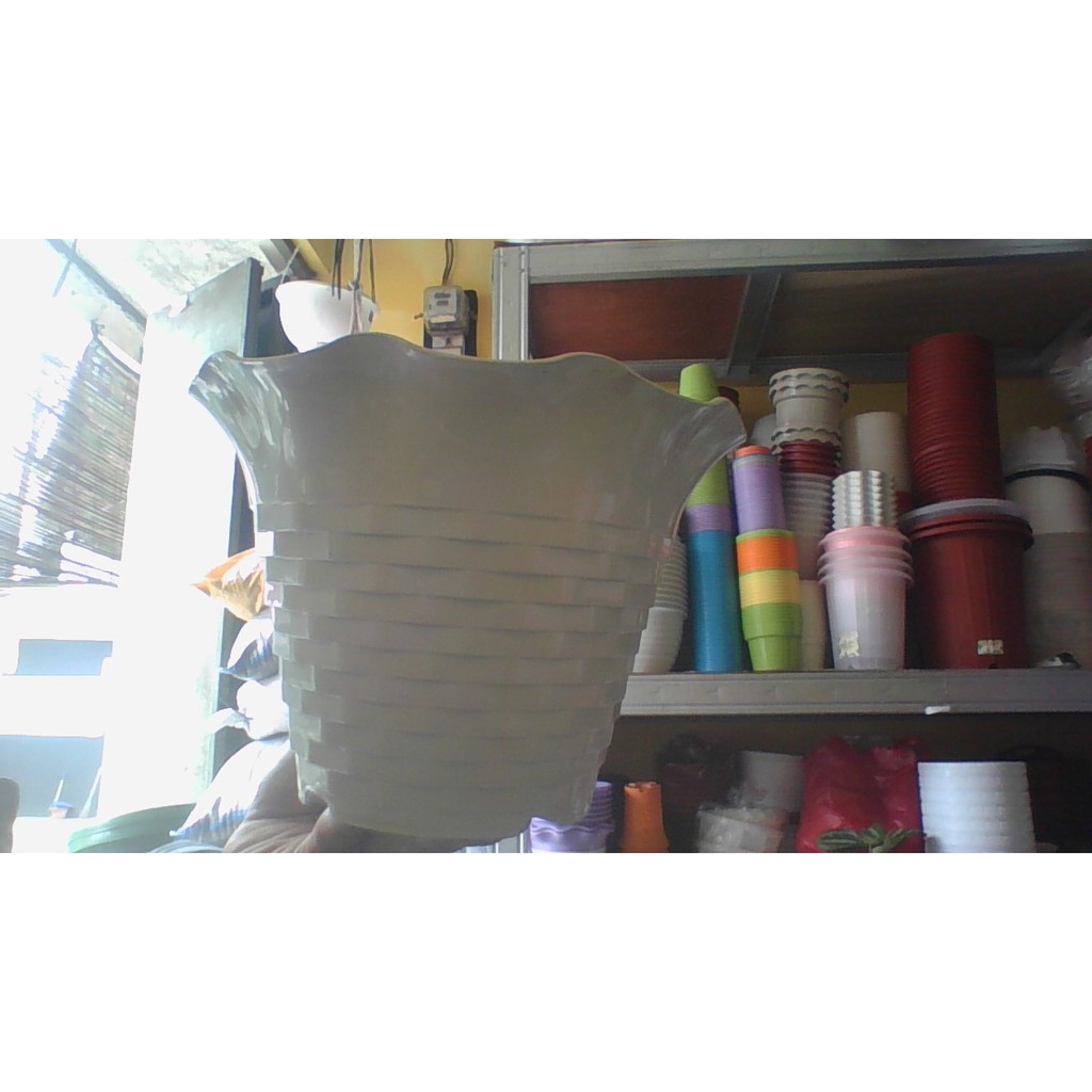 POT BUNGA SUNFLOWER MDN 21 PUTIH