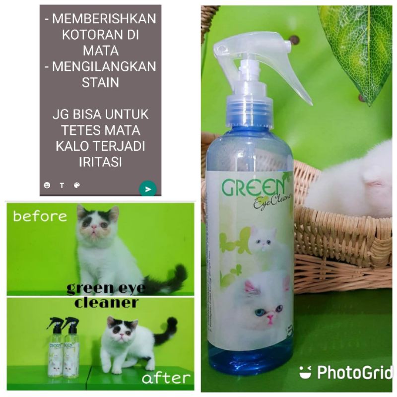 Green eye Cleane