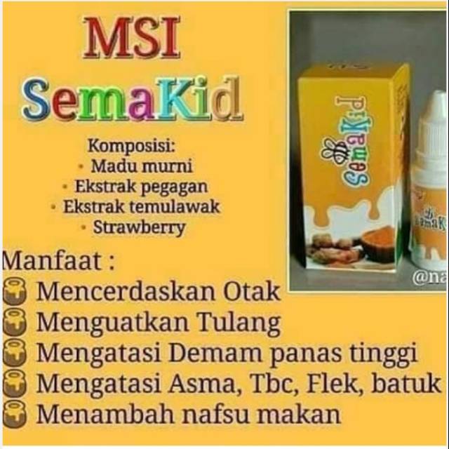 SEMAKID MSI