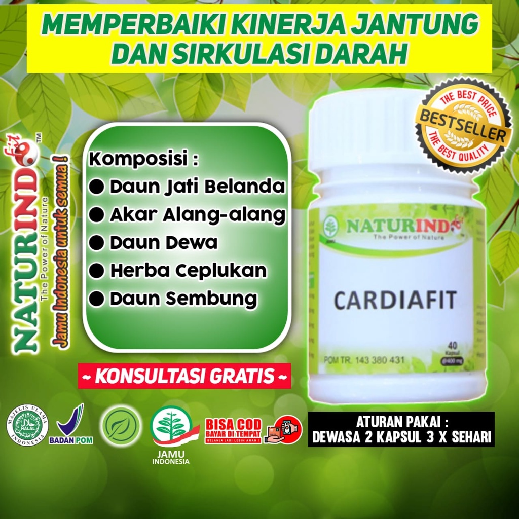 JANTUNG