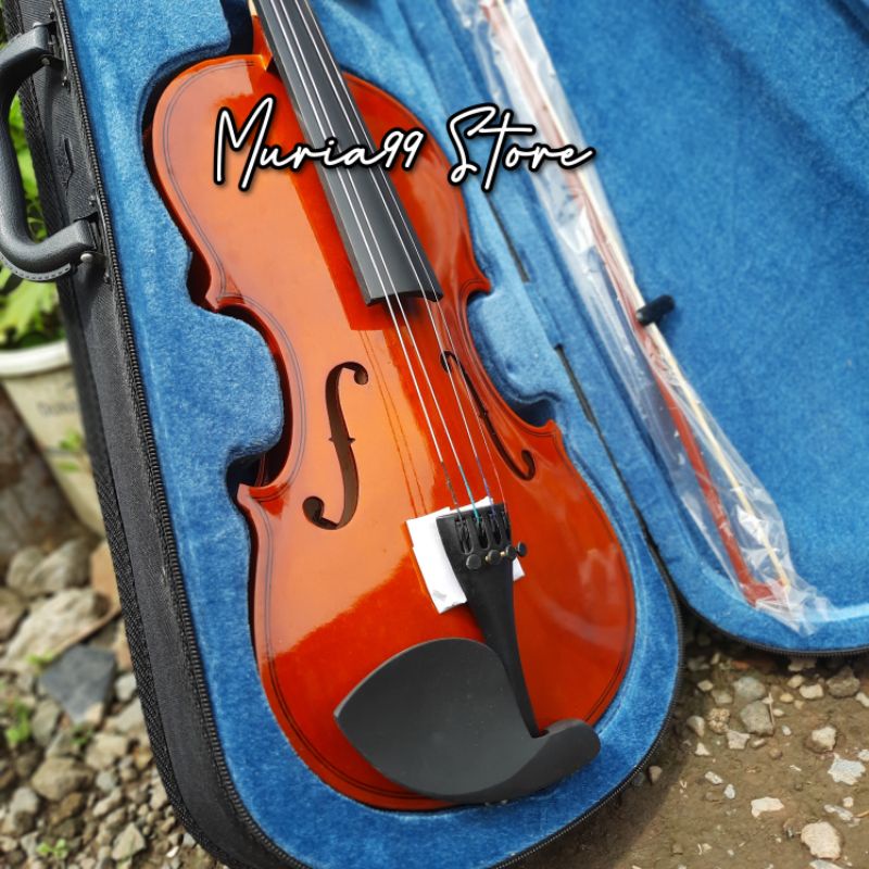 Biola 4/4 import