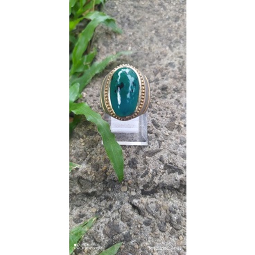 BACAN TOTOL (BACOK)