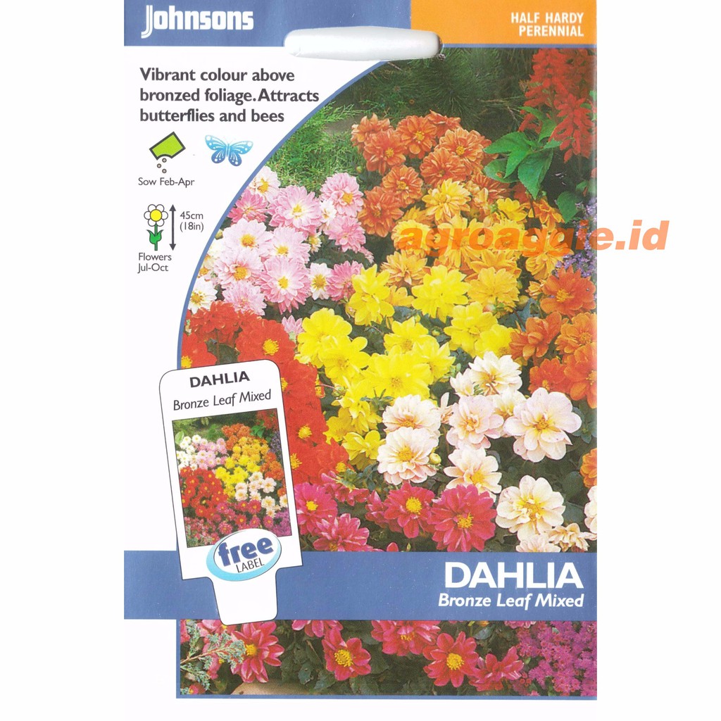 Johnsons DAHLIA Bronze Leaf Mixed