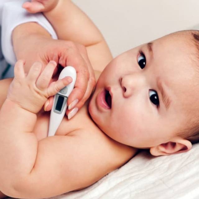 Thermometer Digital