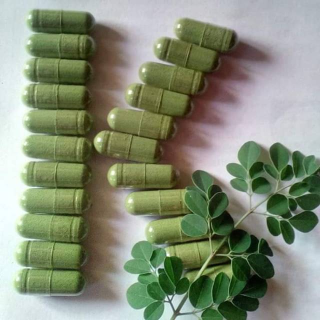 Kapsul Kelor Herbal