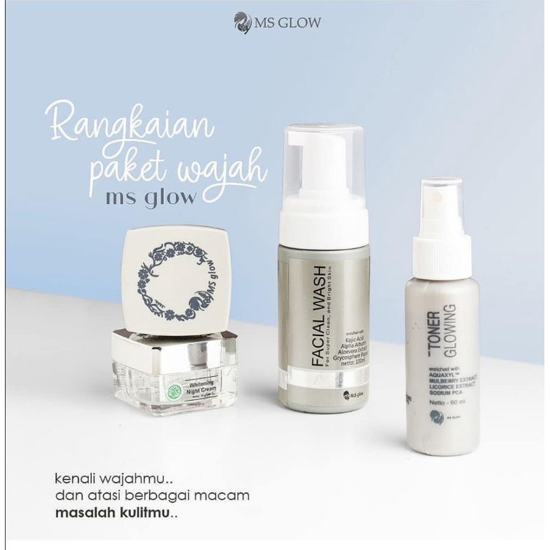 paket usaha 6 paket msglow